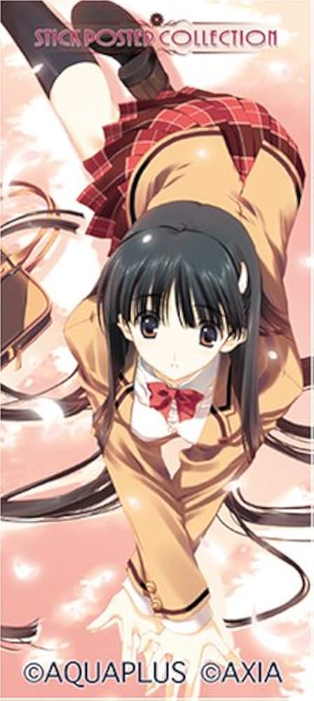 Amazon.co.jp: スティックポスターコレクションバインダー 『なかむら