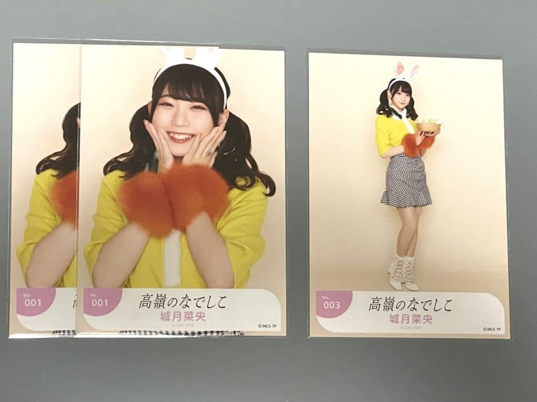 高嶺のなでしこ城月菜央昭和レトロ生写真直筆