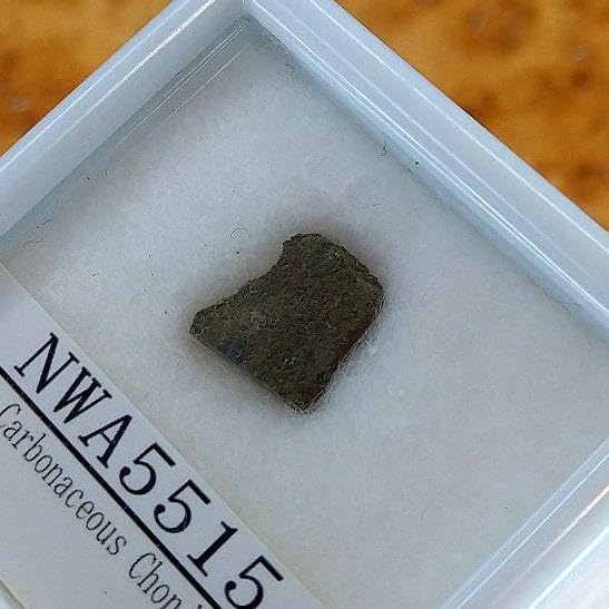 Amazon.co.jp: 炭素質隕石 カルーンダ タイプ NWA5515 隕石 標本