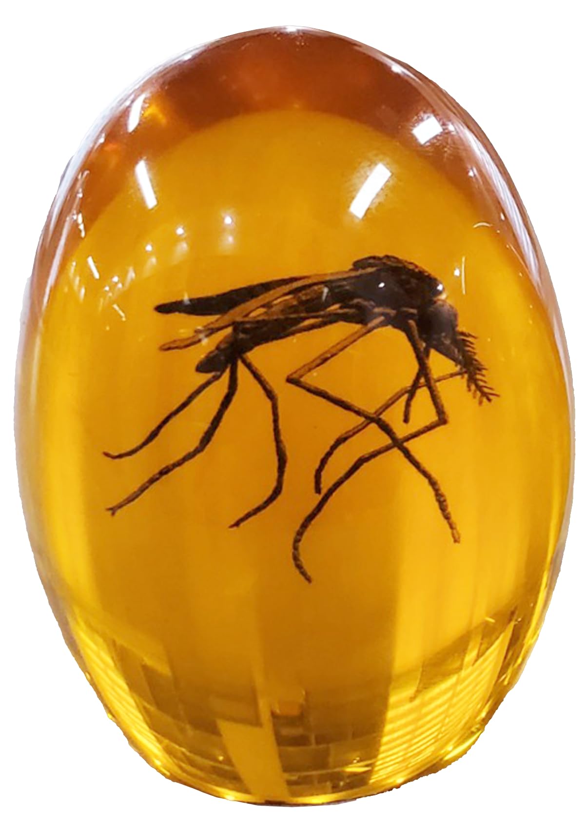Amazon.co.jp: VEOJEIN ジュラシック蚊 琥珀色 | 耐久性のある樹脂で覆