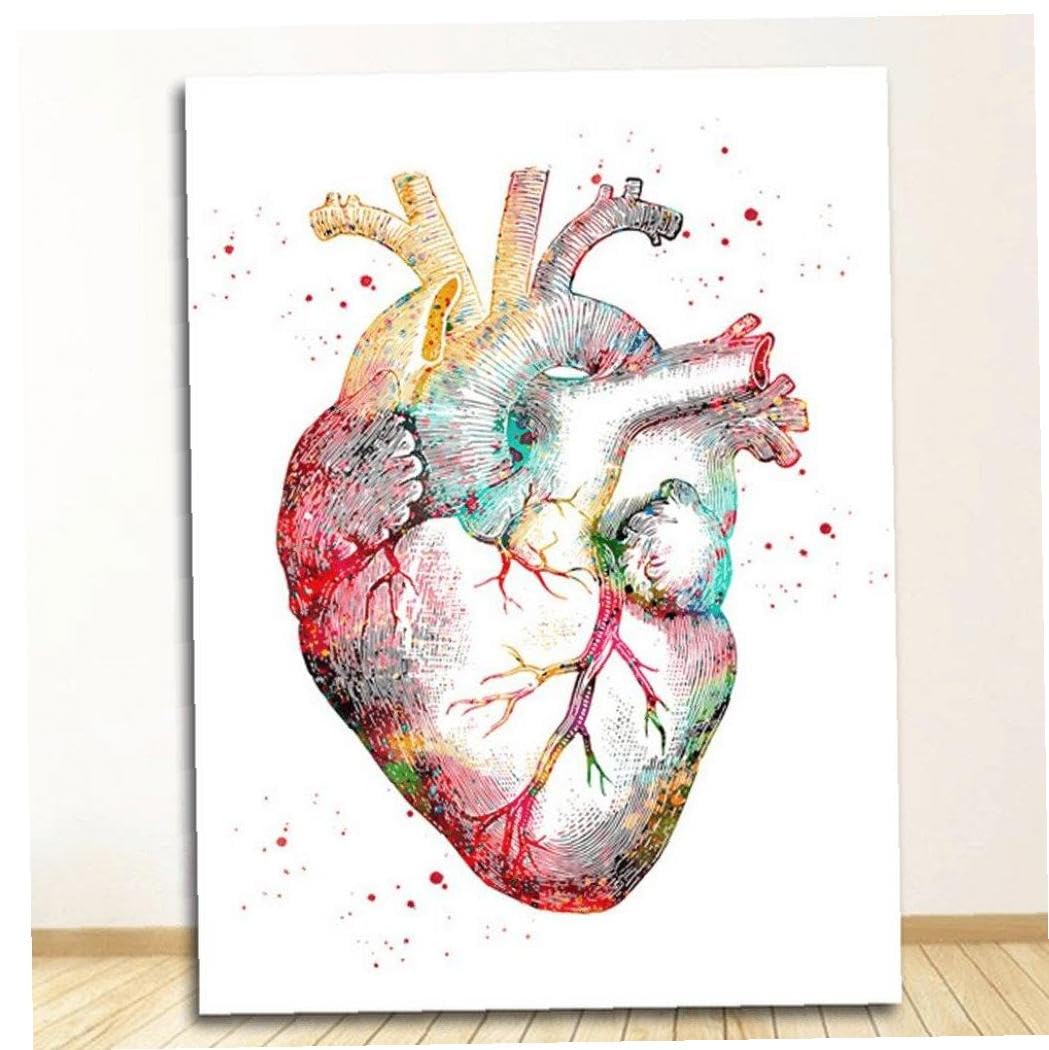 Amazon.co.jp: 人体解剖学的心臓胸部臓器 アート絵画 絵画プリント