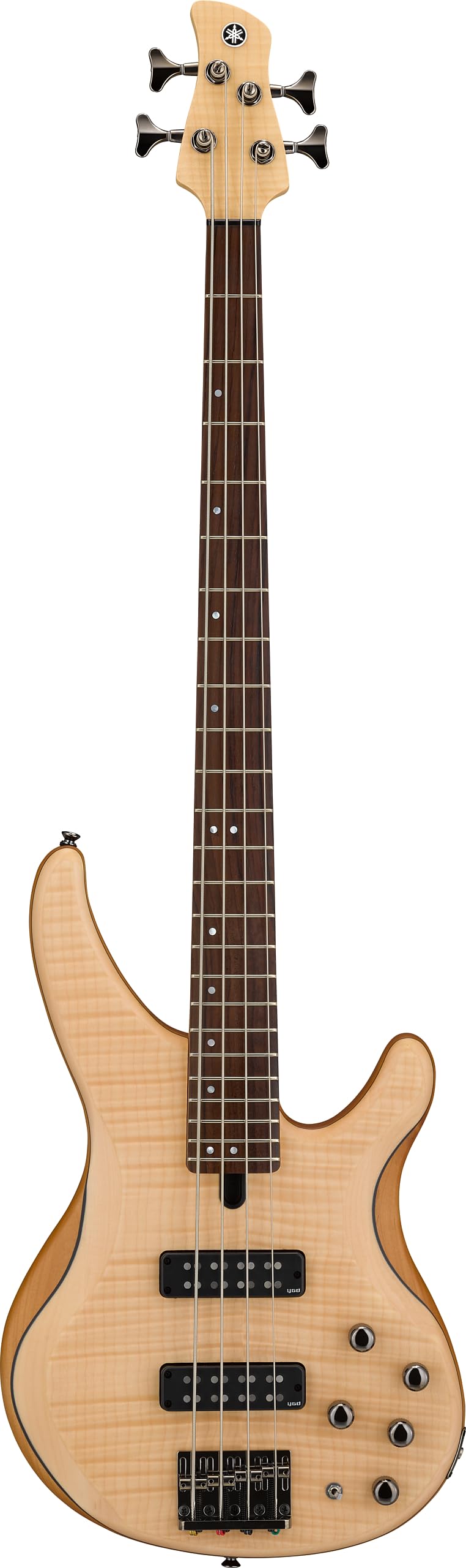 Amazon.com: Yamaha TRBX604 4-String Flamed Maple Bass Guitar