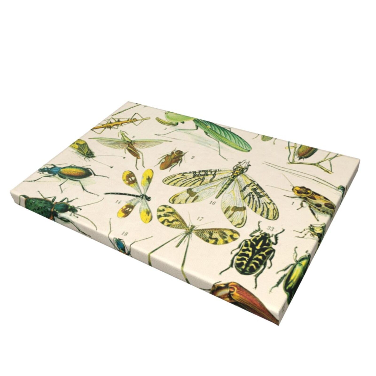 Amazon.co.jp: アートパネル 昆虫柄 イラスト 虫柄 壁掛けアート