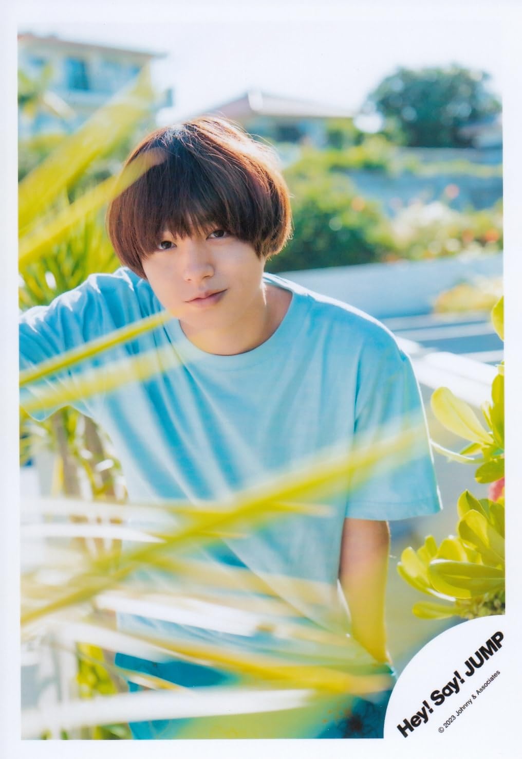 Amazon.co.jp: Hey! Say! JUMP 公式生写真（伊野尾慧）HAL00814 : おもちゃ