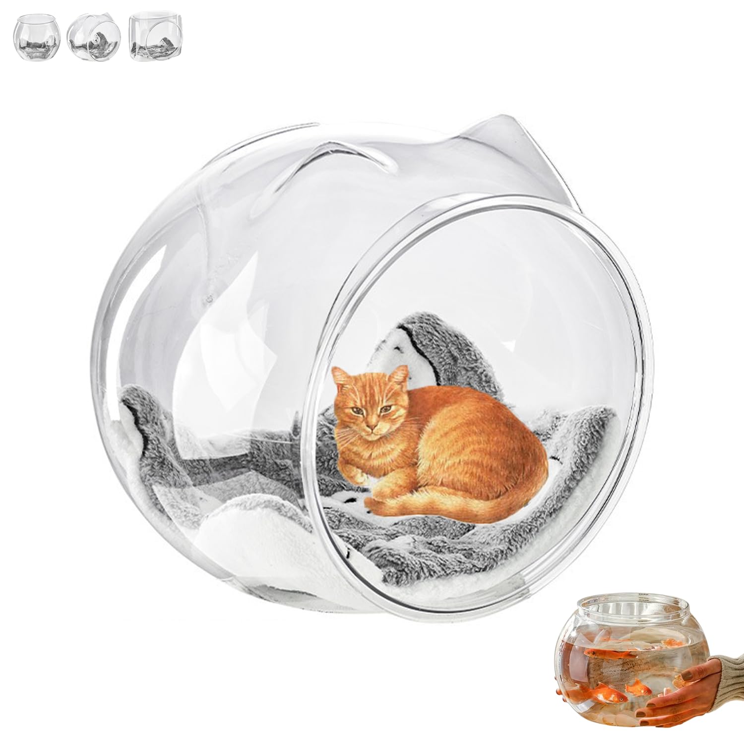 Amazon | 猫 金魚鉢 猫が入る ベッド 金魚 水槽 おしゃれ 隠れ家