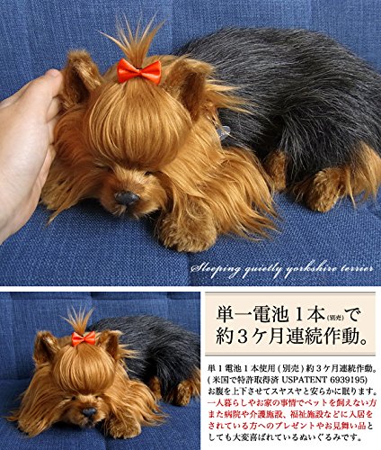 Amazon.co.jp: ニニアンドキノ パーフェクトペット (大サイズ