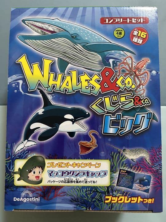 Amazon.co.jp: くじら&co コンプリートセット くじらアンドコー : おもちゃ