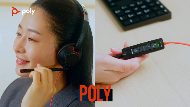 Amazon.co.jp: Poly(旧モデル) 有線ヘッドセット BlackWire 5220 USB-A