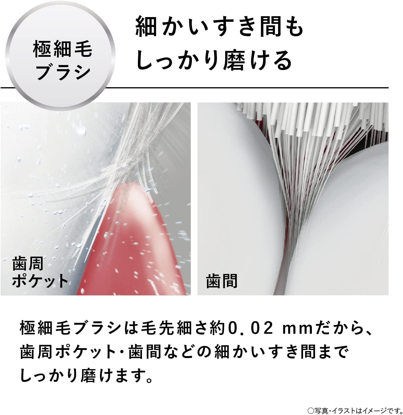 Amazon.co.jp: パナソニック 電動歯ブラシ ドルツ スリム エントリー