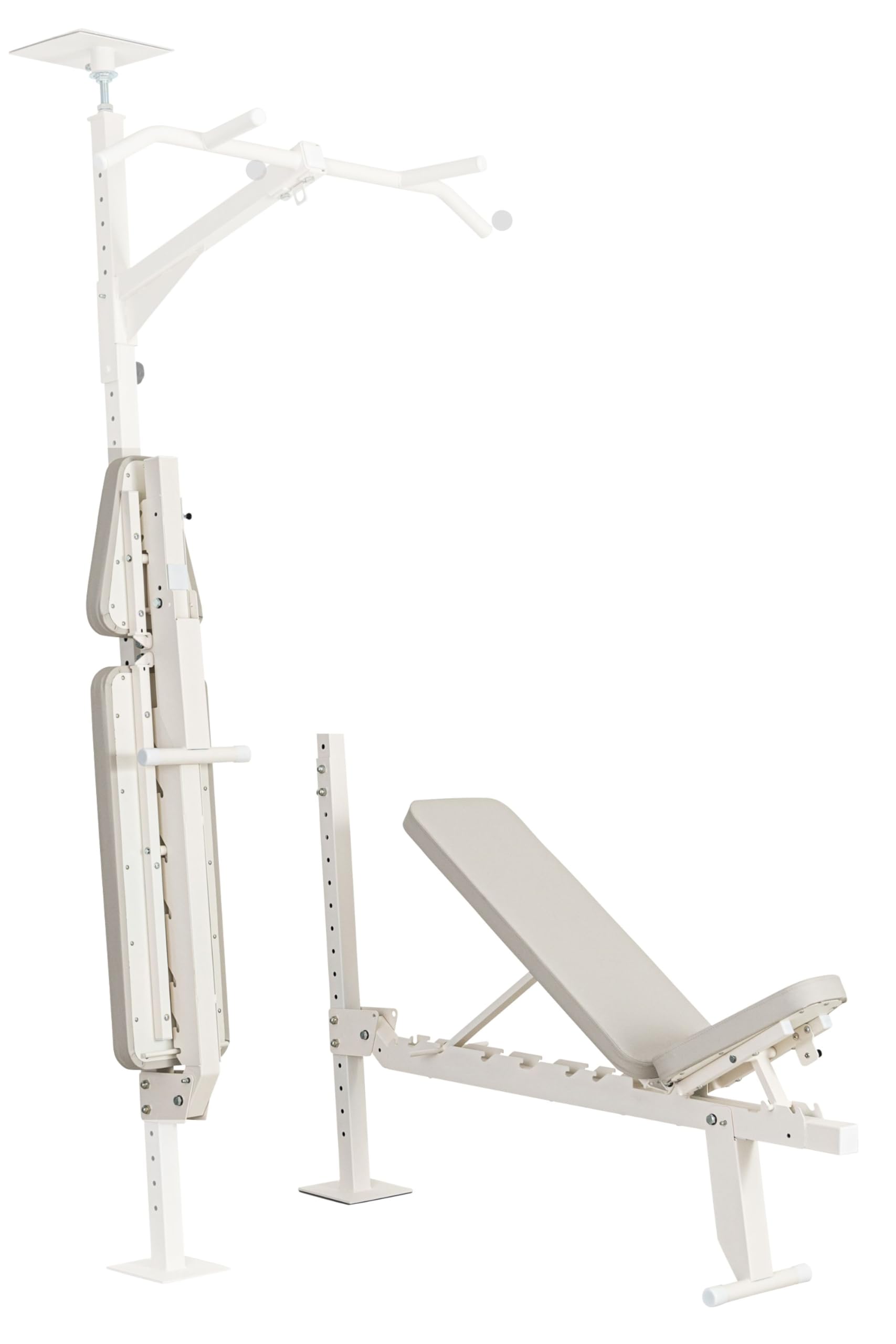 Amazon.co.jp: TEDDY WORKS KENSUI kaku 専用トレーニングベンチ 耐