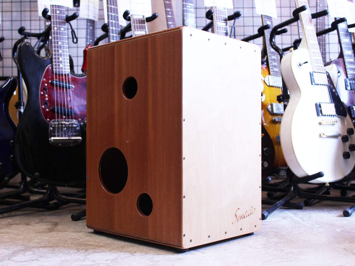 濱崎商会 SPC-380LH リバーシブルカホン 背面ボンゴ仕様 社外ケース