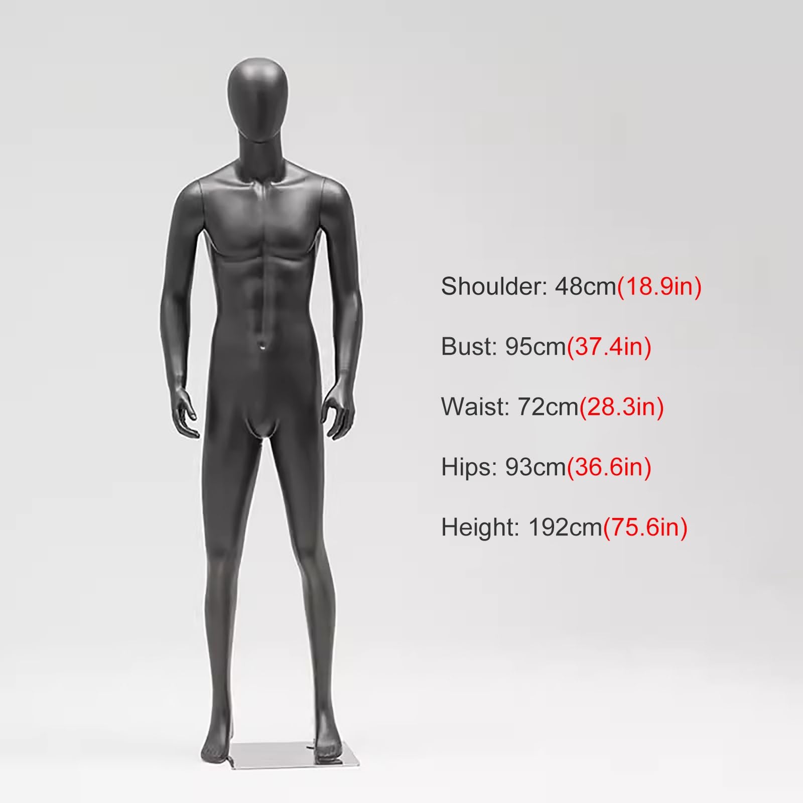 Amazon.co.jp: 男性トルソー マネキン ドレスフォーム トルソボディ