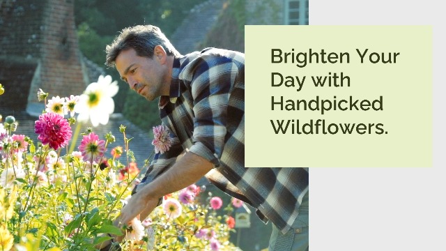 Amazon.com : Eden Brothers Onion Seeds (Bunching) - Tokyo Long