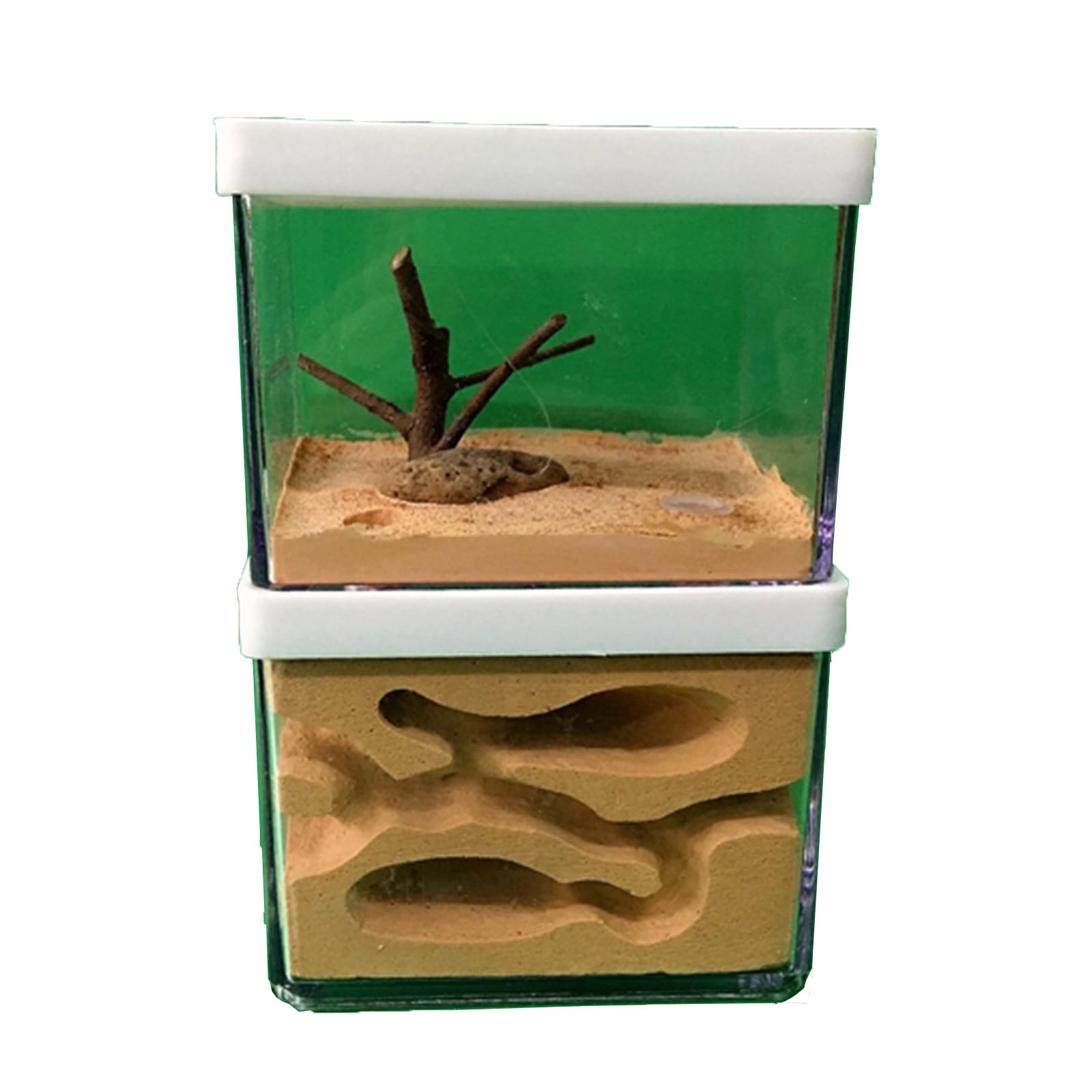 Amazon.com: Lunvex Acrylic Transparent Ant Farm Nest - Ant