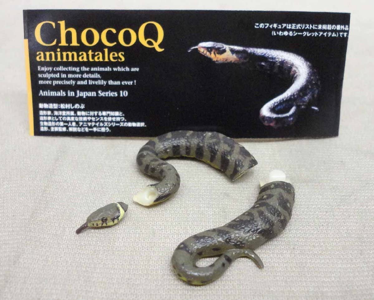 Amazon.co.jp: チョコQ 日本の動物10 シークレット ツチノコII