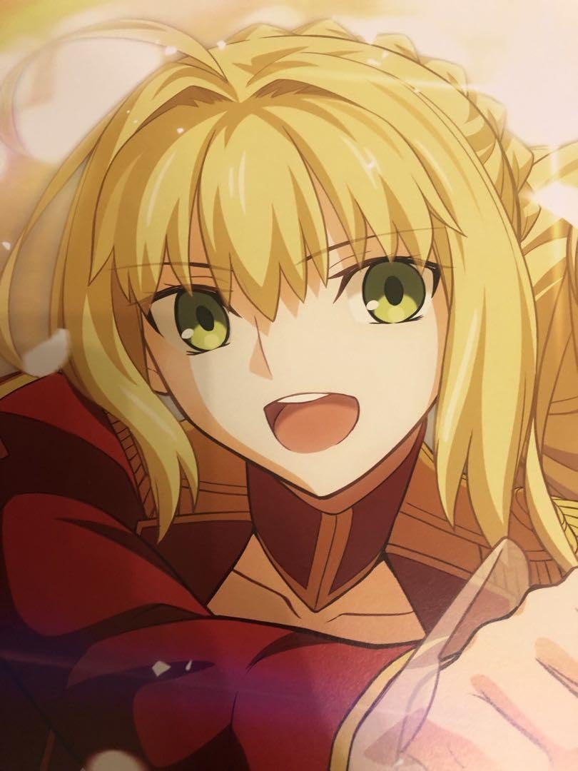 Amazon.co.jp: Fate song material フェイト B2 ポスター : ホビー