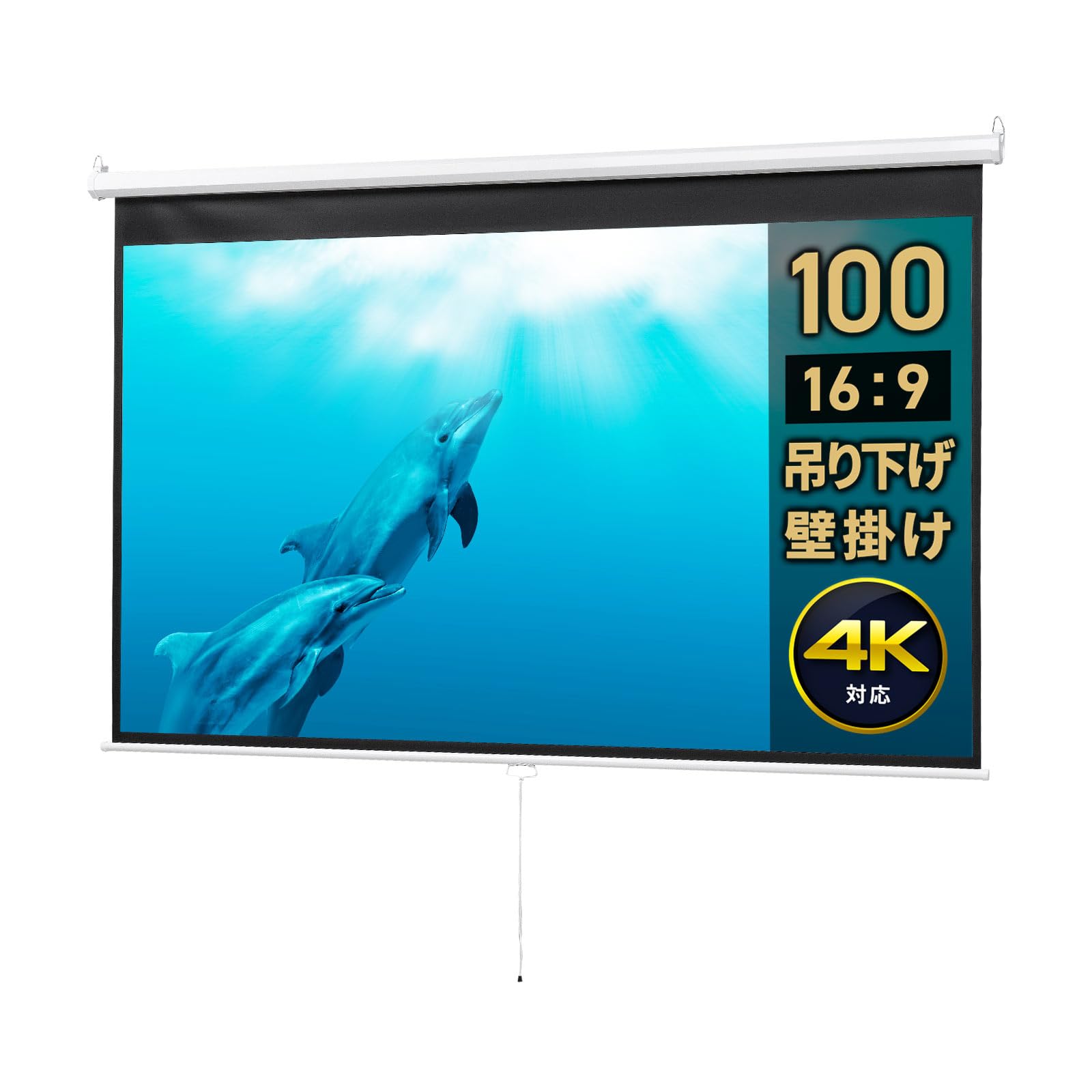 Amazon | イーサプライ プロジェクタースクリーン 100インチ 16:9 吊り