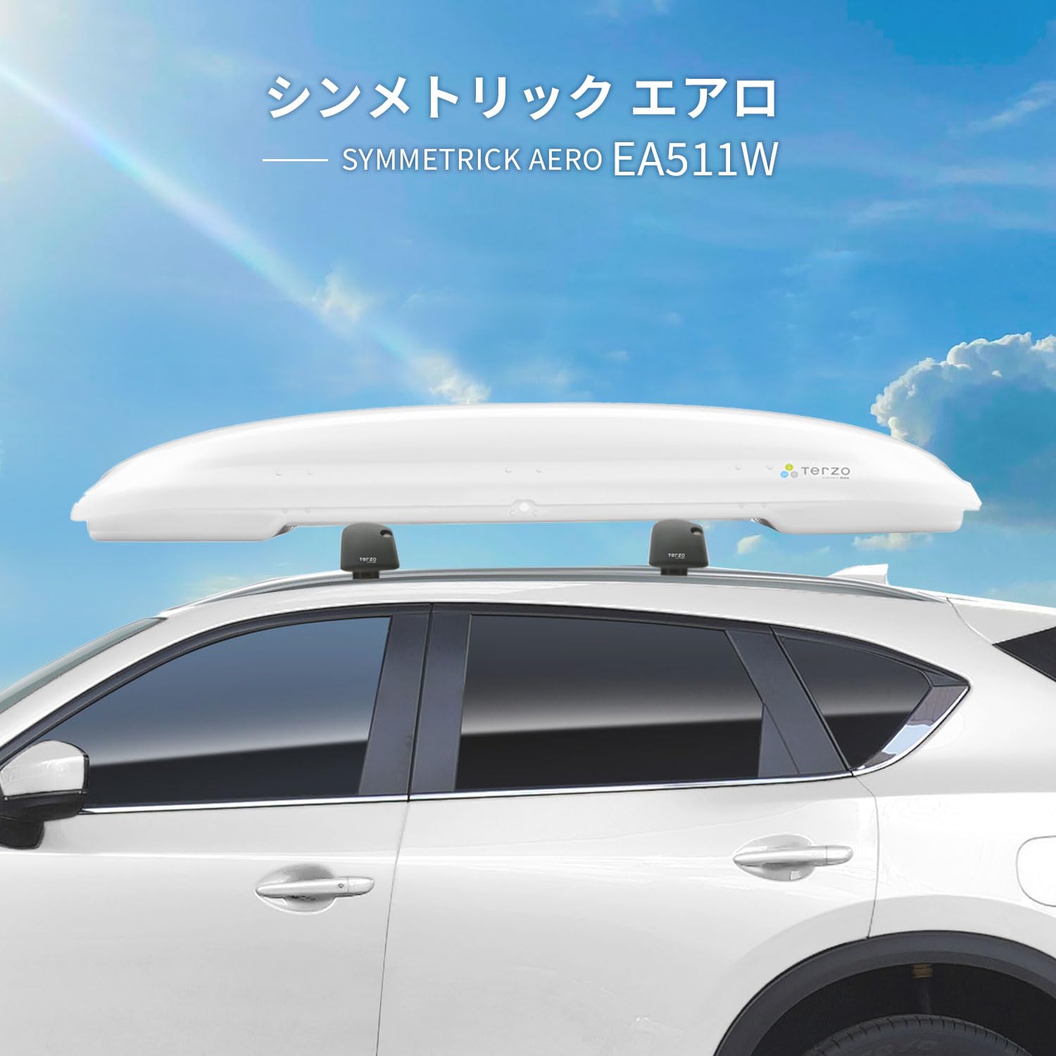 Amazon.co.jp: テルッツォ(Terzo) (by PIAA) ルーフボックス 320L シン