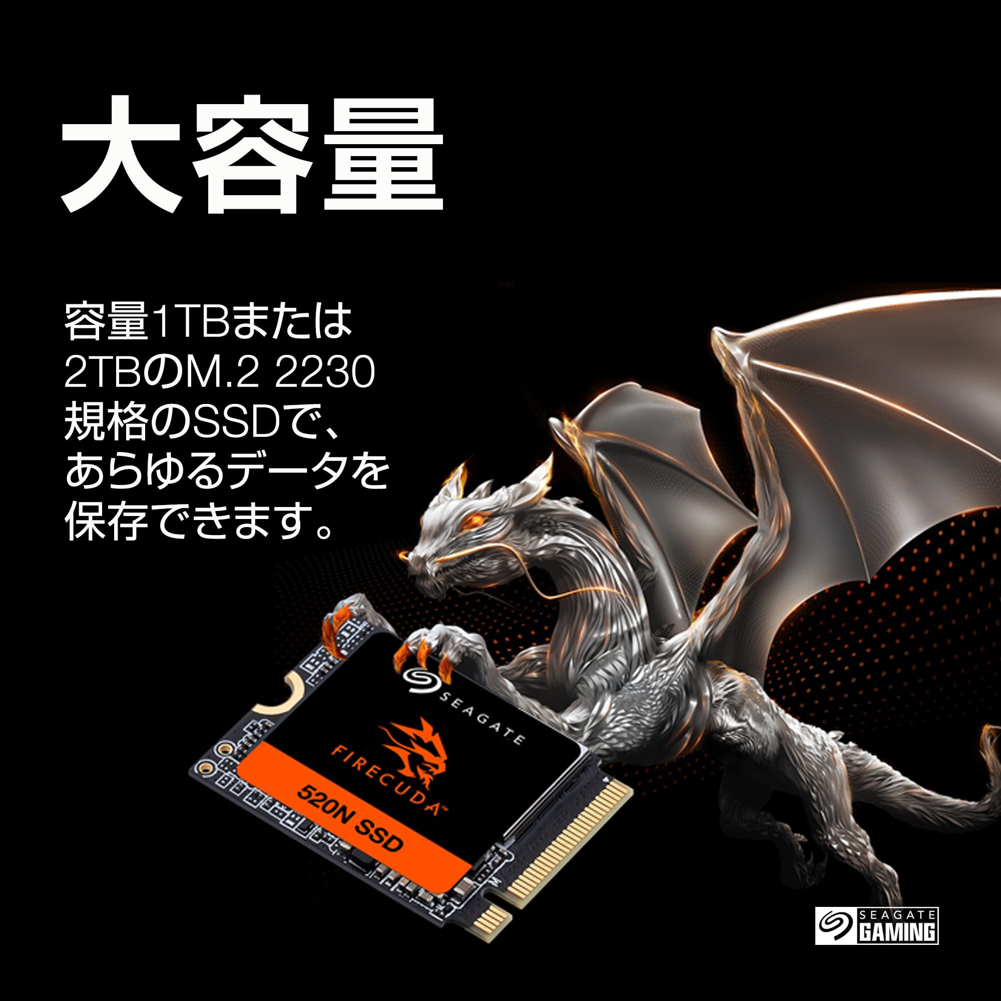 Amazon | Seagate FireCuda 520N M.2 2230 内蔵 SSD【データ復旧 3年付