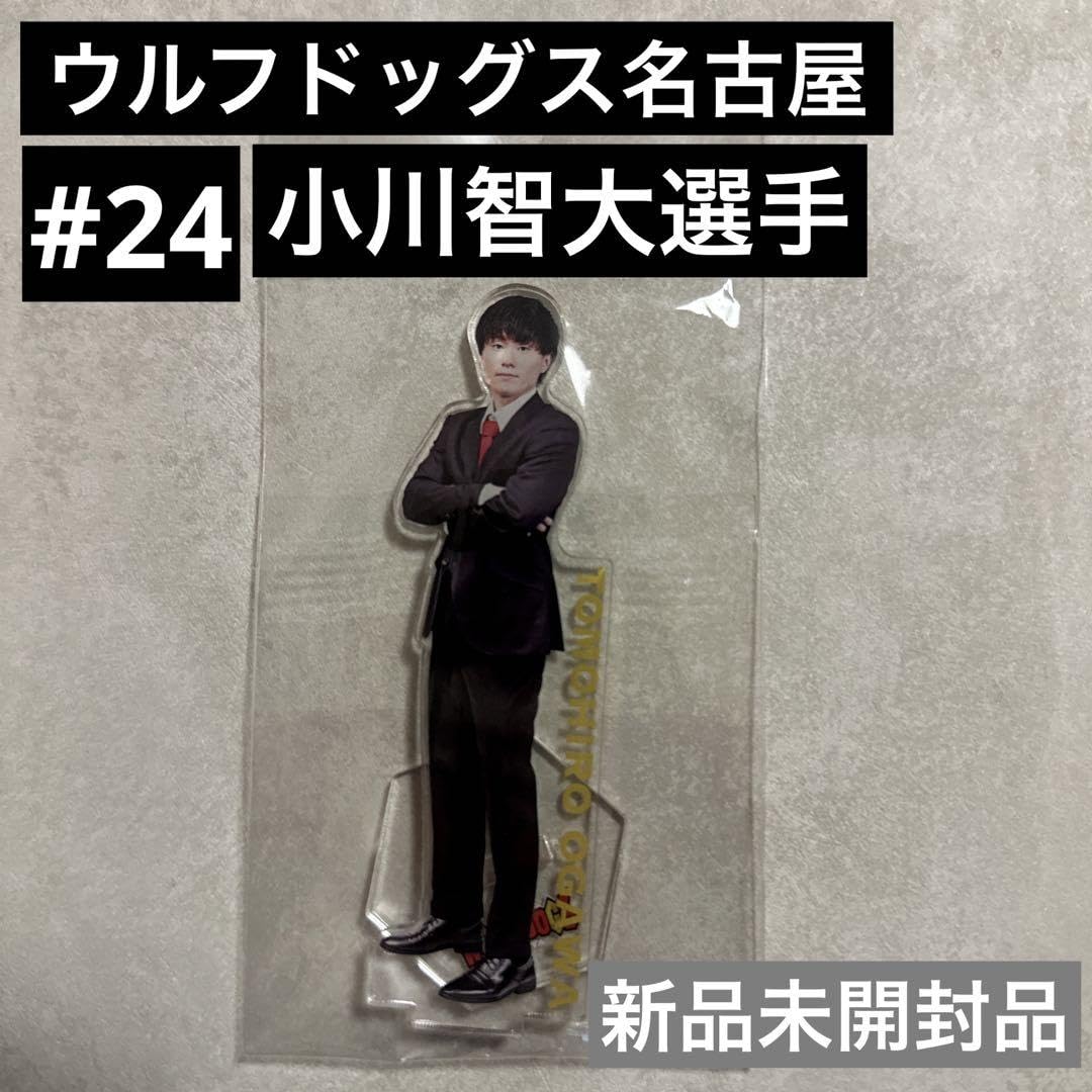 Amazon.co.jp: ウルフドッグス名古屋 #24 小川智大選手 スーツアクスタ