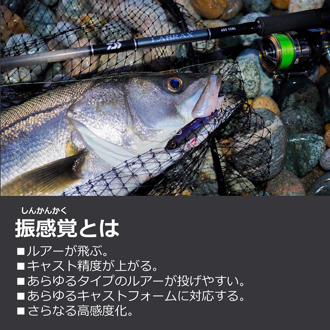 Amazon | ダイワ(DAIWA) ロッド 21 ラブラックス AGS 86ML | ダイワ