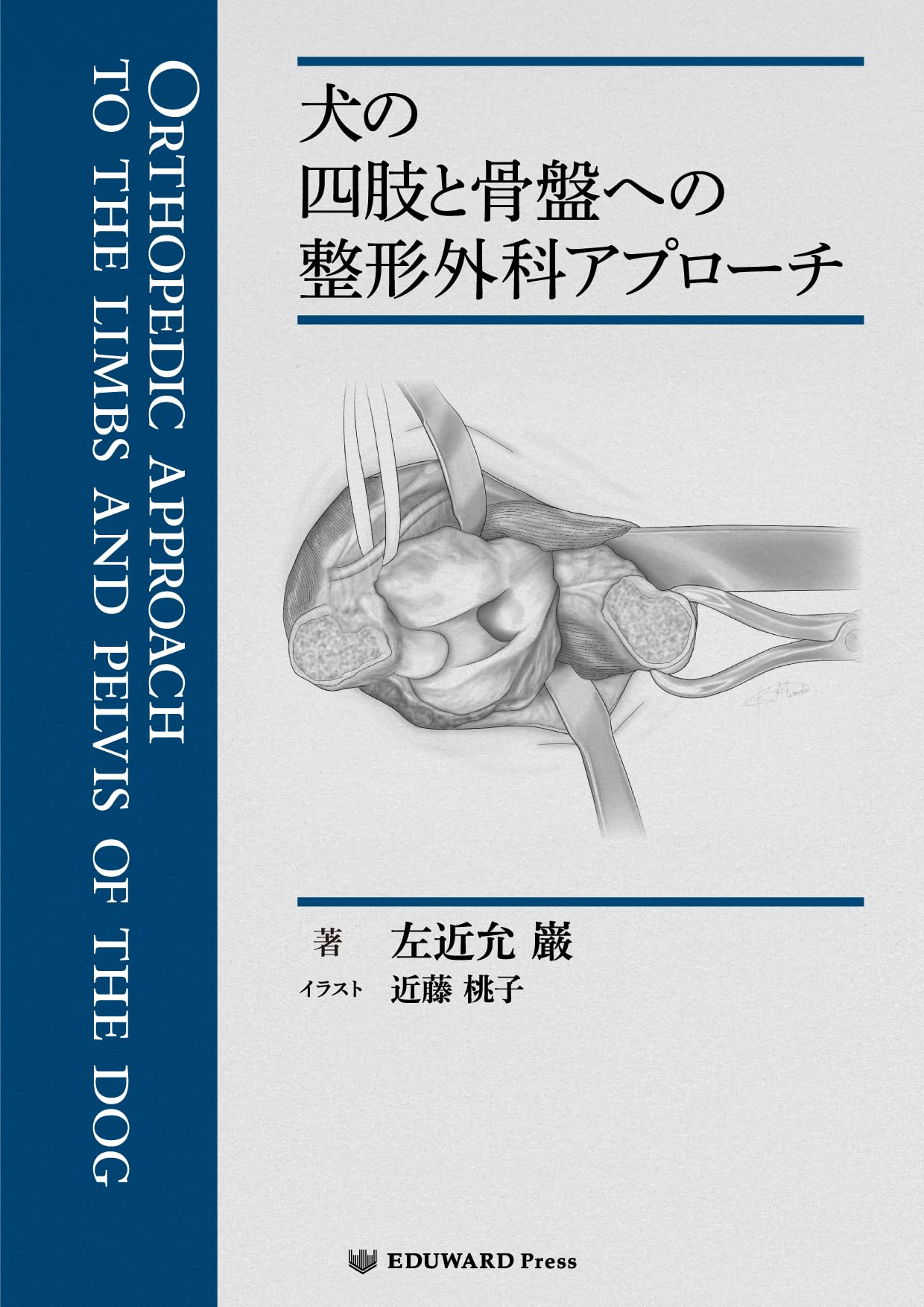 Amazon.co.jp: 犬の四肢と骨盤への整形外科アプローチ : 左近允 巌