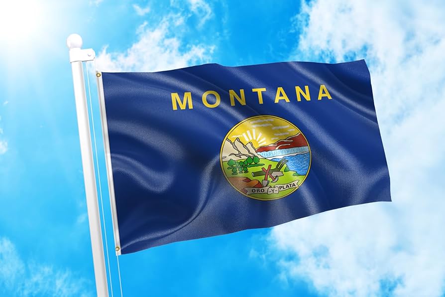 Amazon.com : DMSE Montana 41st State 1889 Flag 2x3 Ft Foot 100