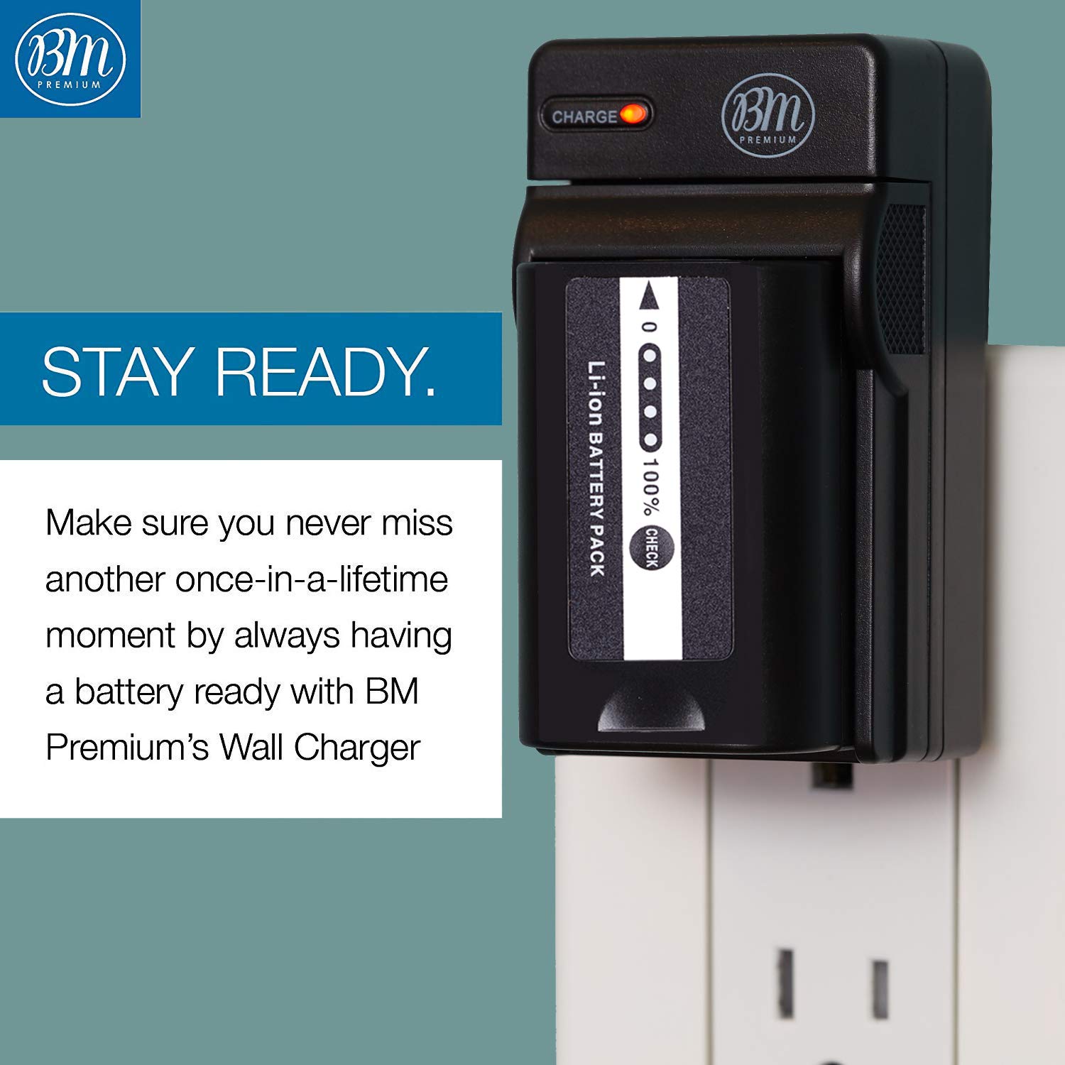 Amazon.com : BM Premium 2 VW-VBD58 Batteries and Charger for