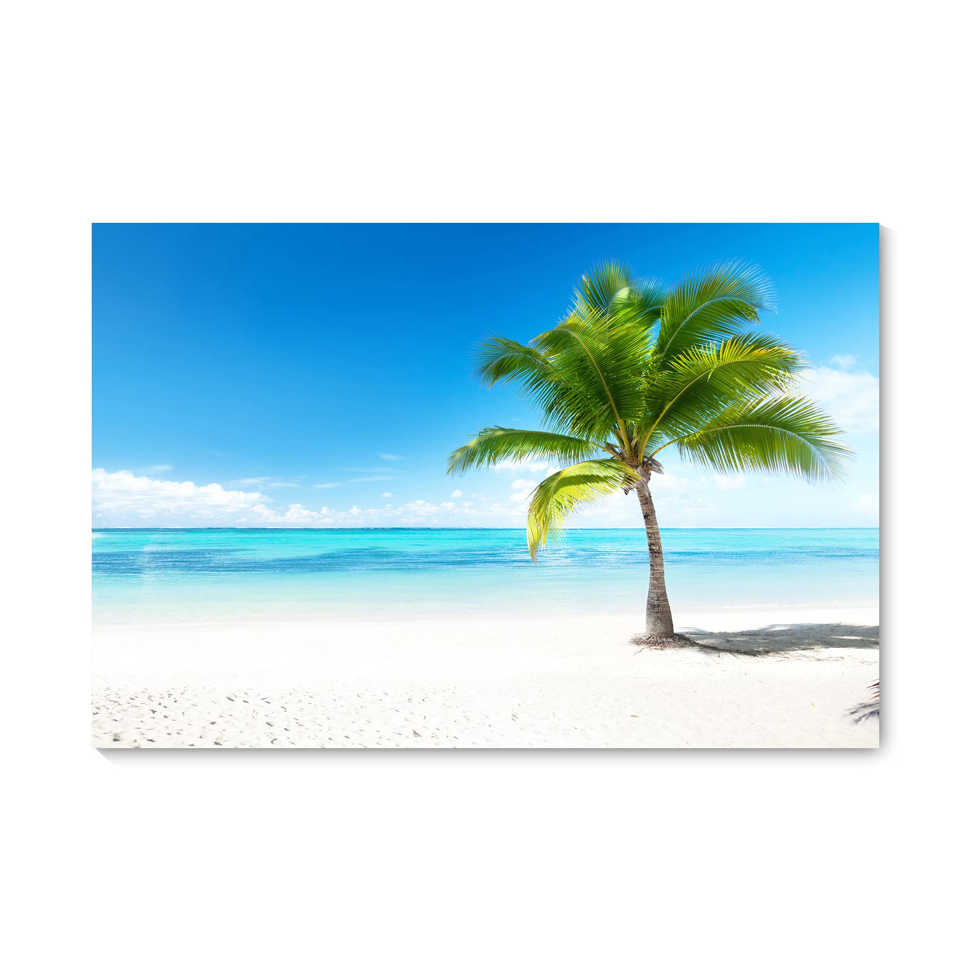 Amazon.co.jp: 海の絵 アートパネル 海 ヤシの木 絵画 青空 白雲