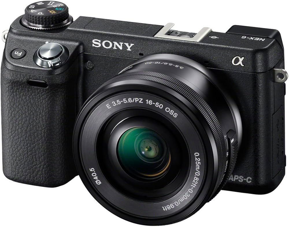 Amazon | SONY ミラーレス一眼カメラ α NEX-6ズームレンズキット