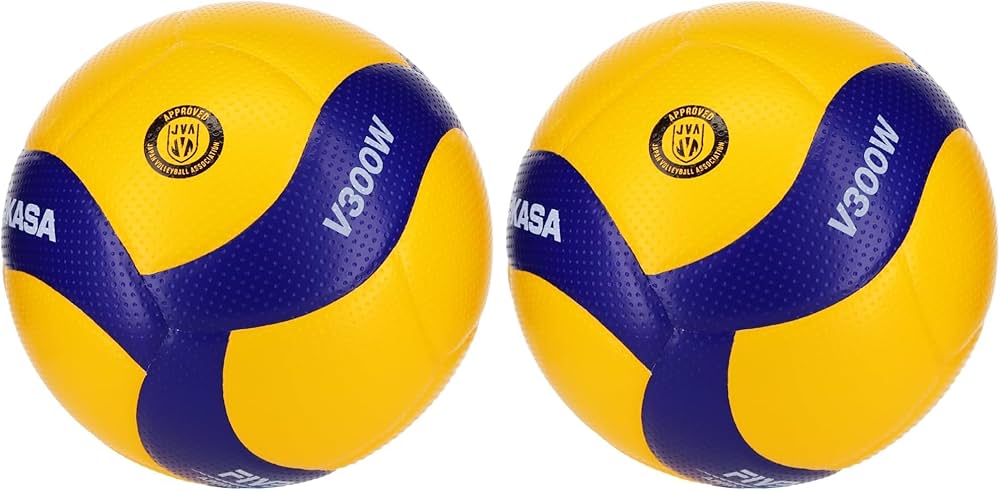 Amazon | ミカサ(MIKASA) バレーボール 5号 国際公認球 検定球 一般