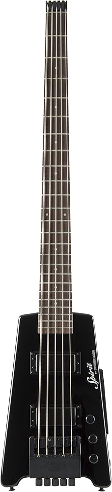Steinberger Spirit XT-25 5-String Bass Guitar, Black : Amazon.in