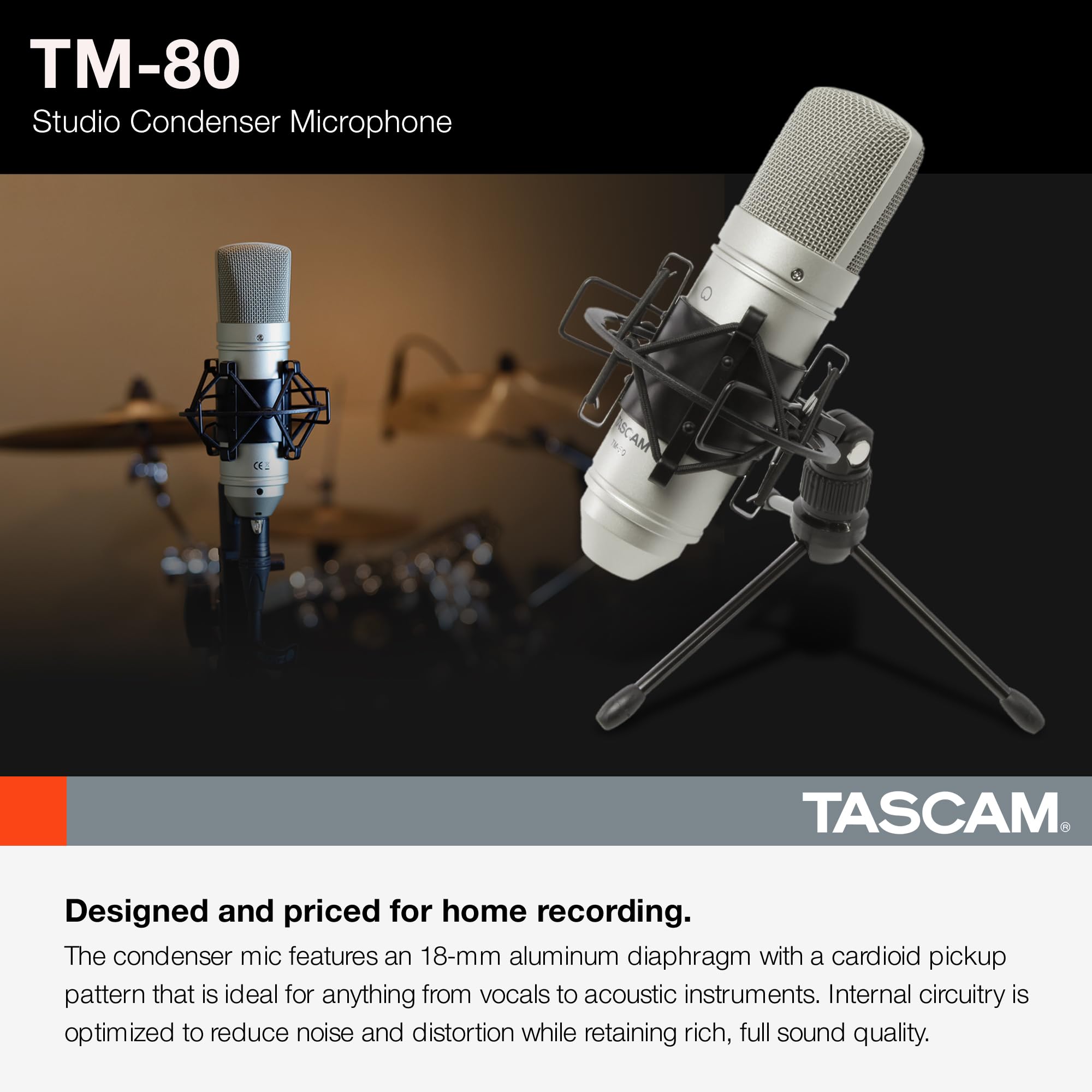 Amazon.com: Tascam TM-80 Large Diaphagm Condenser Microphone