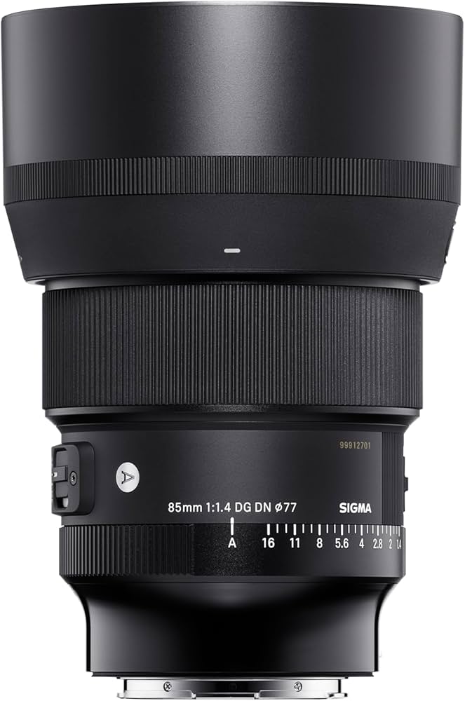 Amazon.co.jp: シグマ(Sigma) レンズ 85mm F1.4 DG DN Sony ソニー E