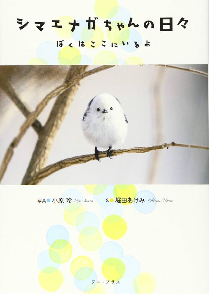 シマエナガちゃんの日々 - ぼくはここにいるよ - (ワニプラス) | 小原