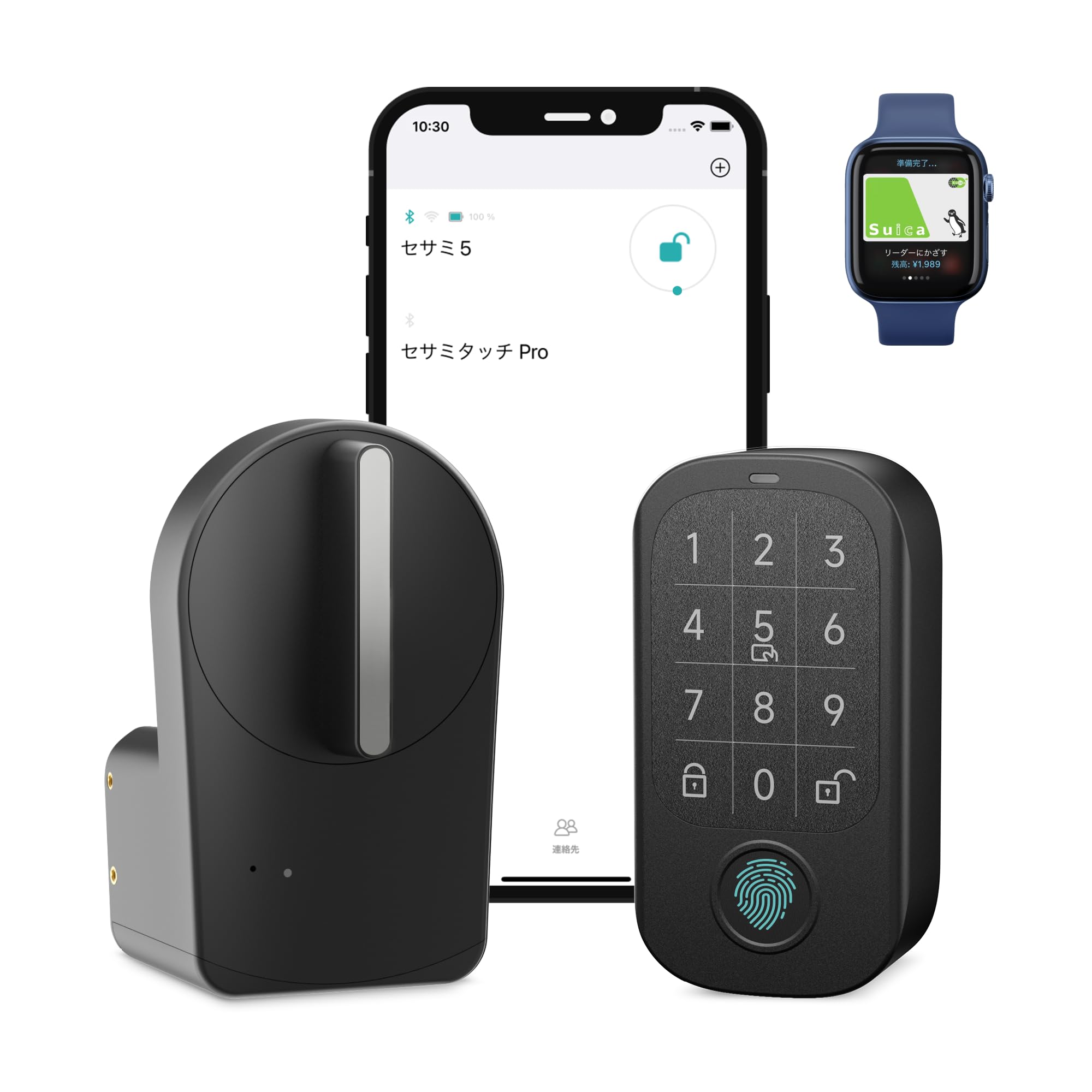 Amazon.co.jp: キャンディハウス(Candy House) セサミ5+セサミタッチ