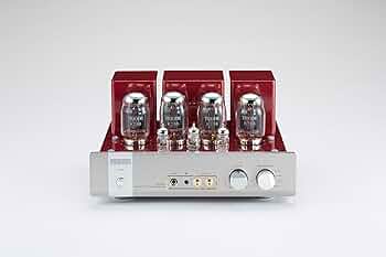 71B8GQsZlRL._AC_UF350,