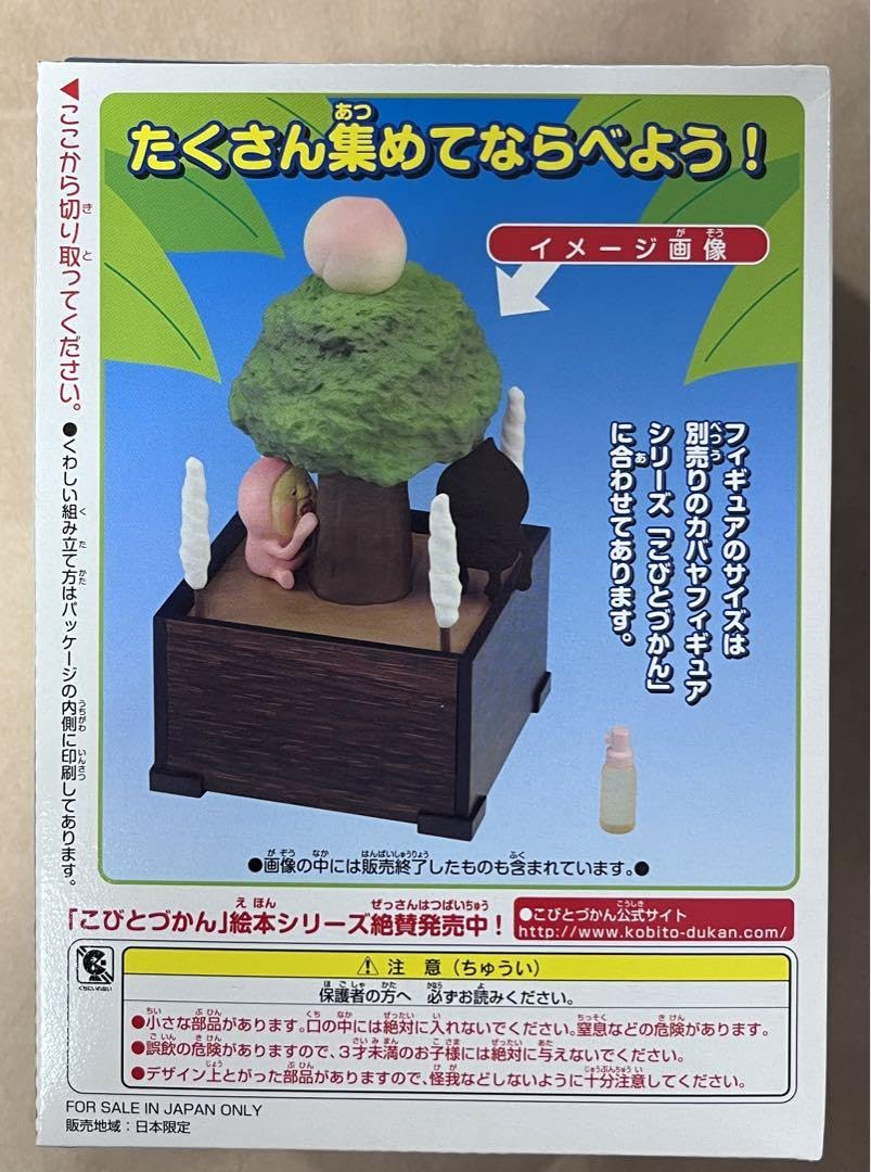Amazon.co.jp: こびとづかん 飼育セット kabaya カクレモモジリ こびと
