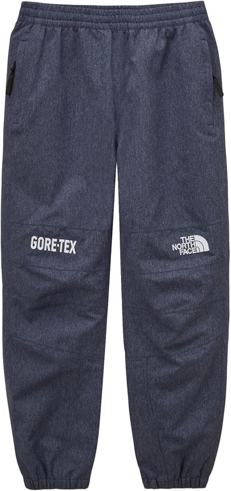 Amazon | (ノースフェイス) THE NORTH FACE メンズ M GTX MOUNTAIN