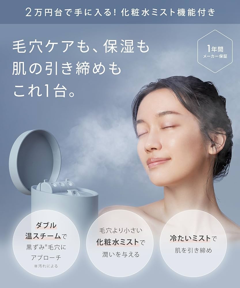 Amazon.co.jp: SALONIA Salonia Pure Bright Steamer Facial Steamer