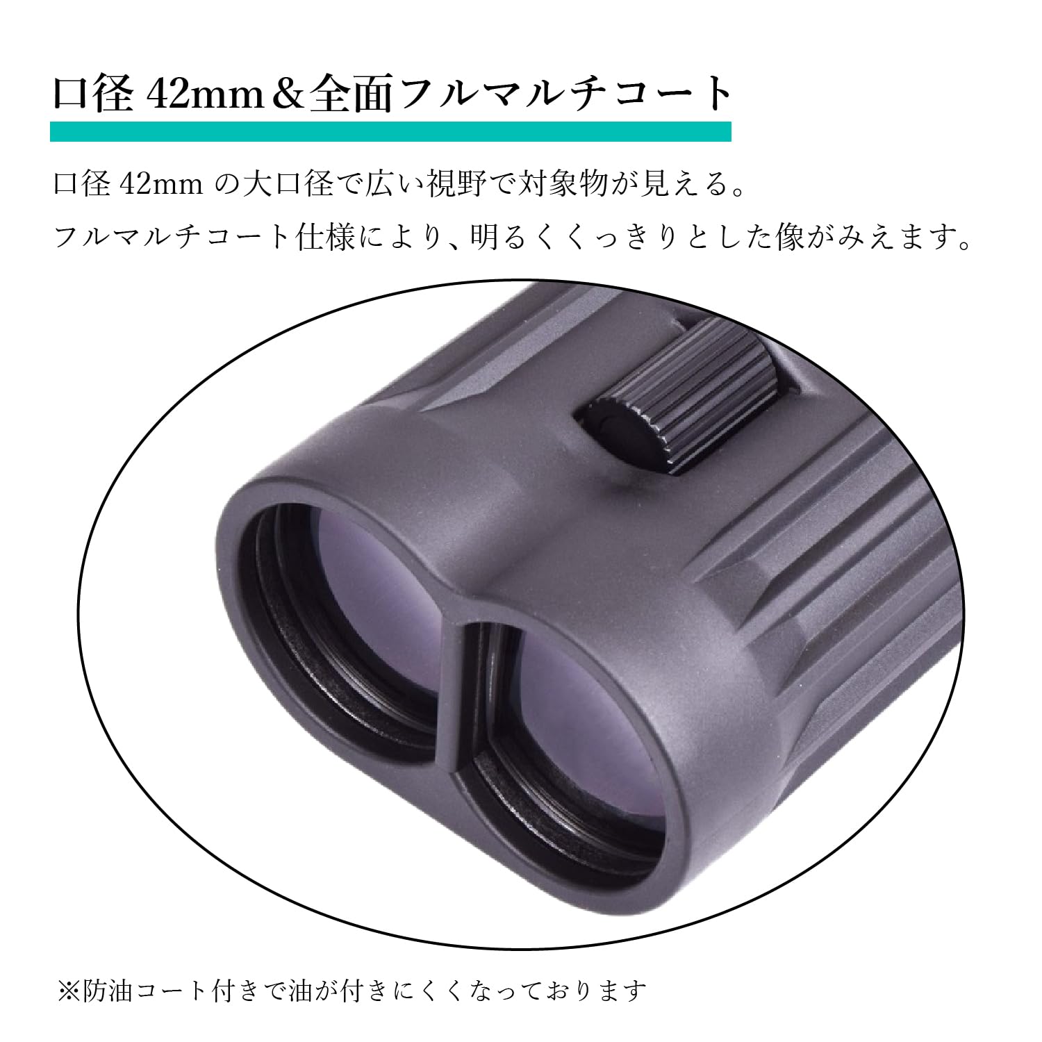 Amazon | SIGHTRON（サイトロン）双眼鏡 防振 12倍 口径42㎜ SIIBL1242