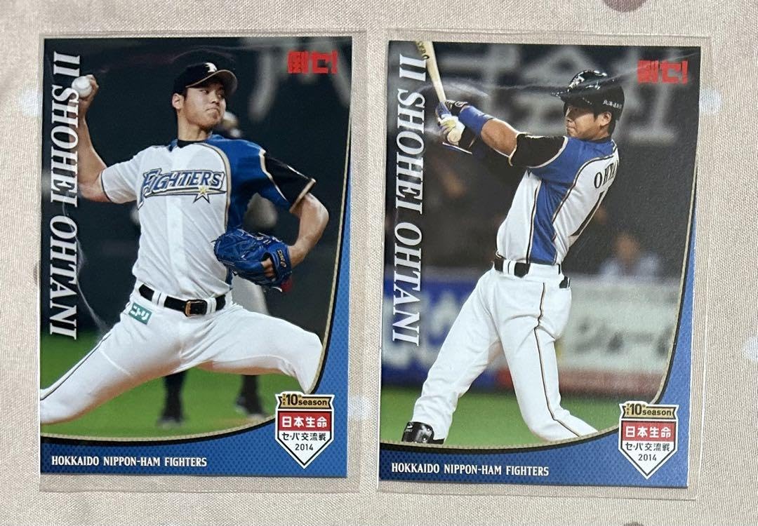 大谷翔平 2013 ハイライトフォト No.311 日本ハム 球団公式写真 【公式