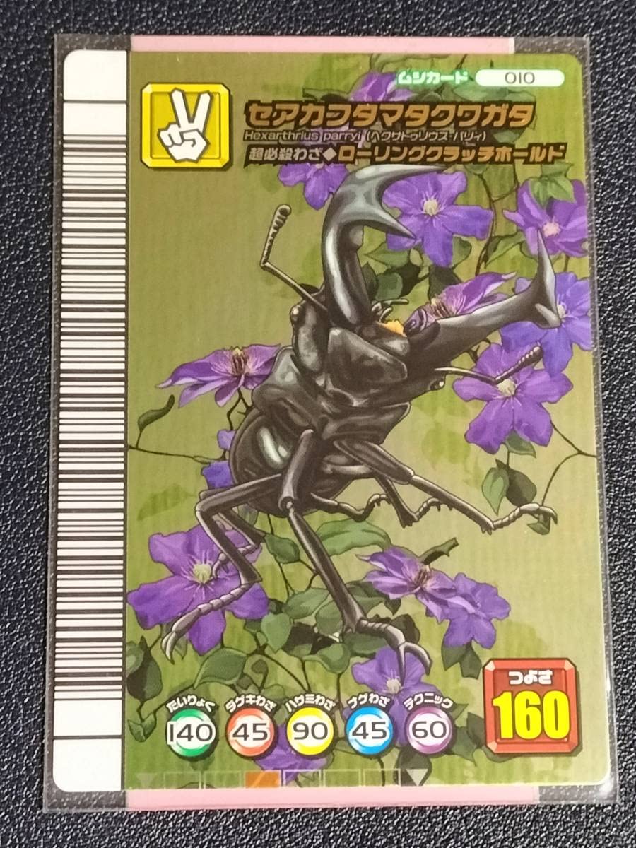 Amazon.co.jp: 甲虫王者 ムシキング セアカフタマタクワガタ 5周年