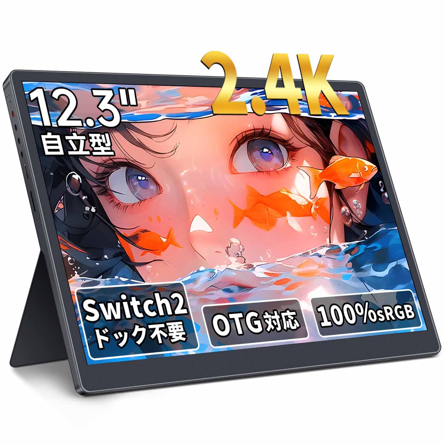 Amazon.co.jp: HAILESI モバイルモニター 12.3インチ 2.4K 2400x1600