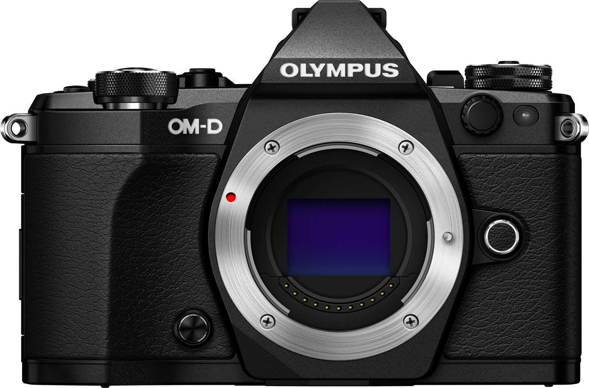 Amazon.com : Olympus OM-D E-M5 Mark II Micro Four Thirds System