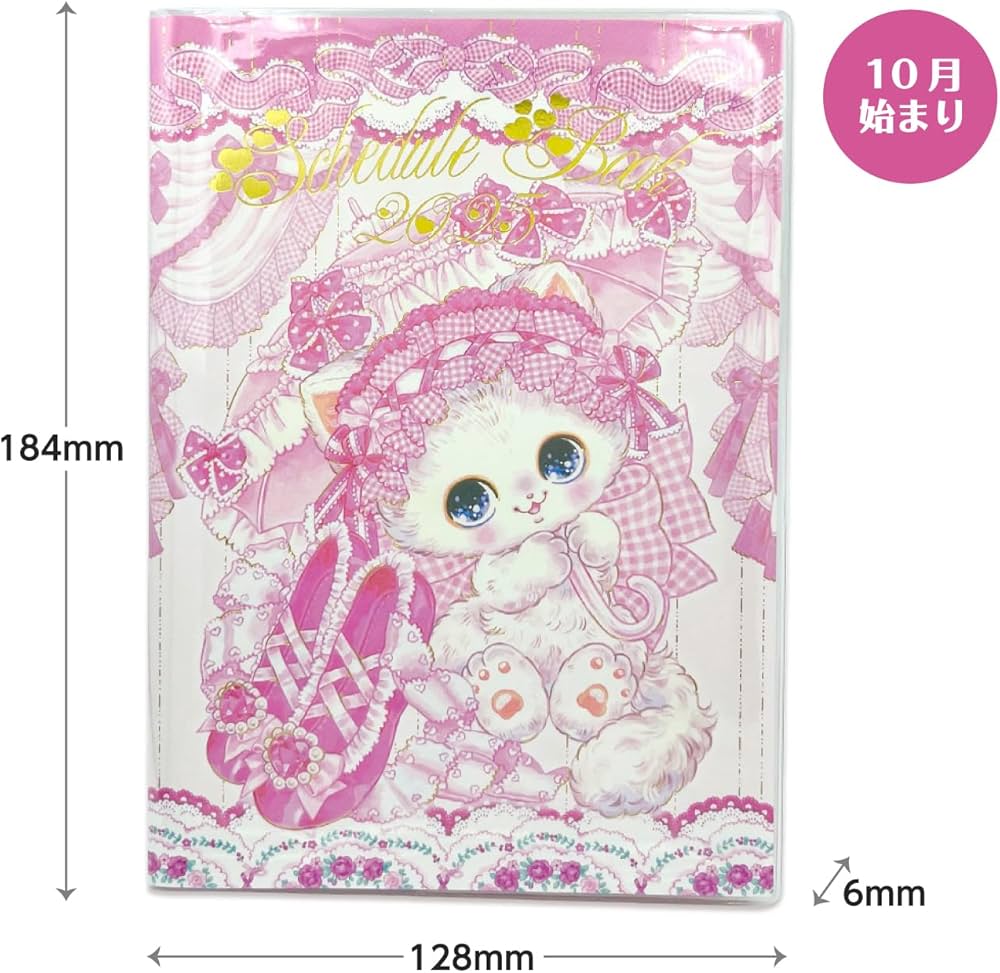 Amazon.co.jp: クローズピン 飴ノ森ふみか 手帳 2025年 B6 マンスリー