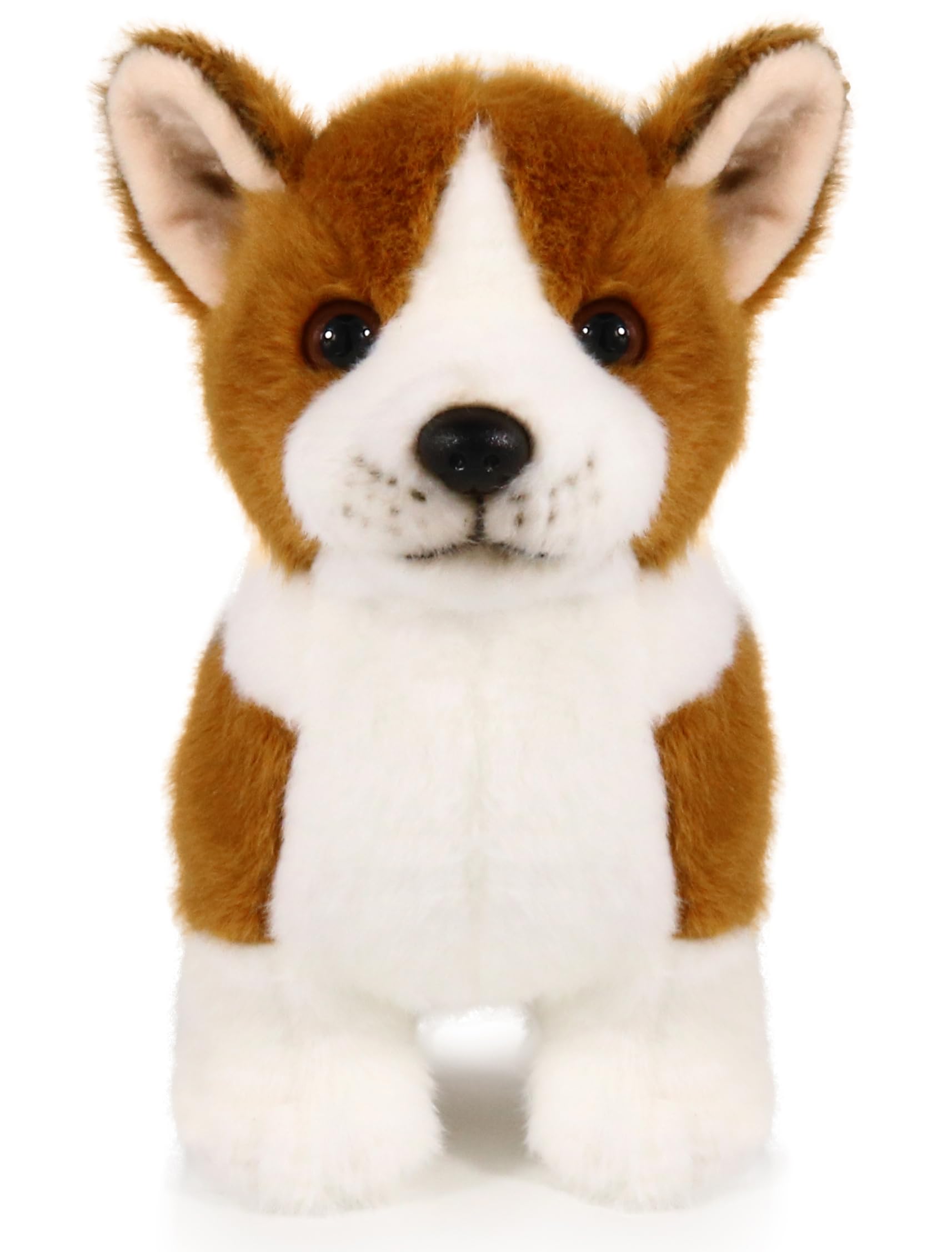Amazon.com: Ice King Bear Corgi Dog Plush Stuffed Animal Toy 9