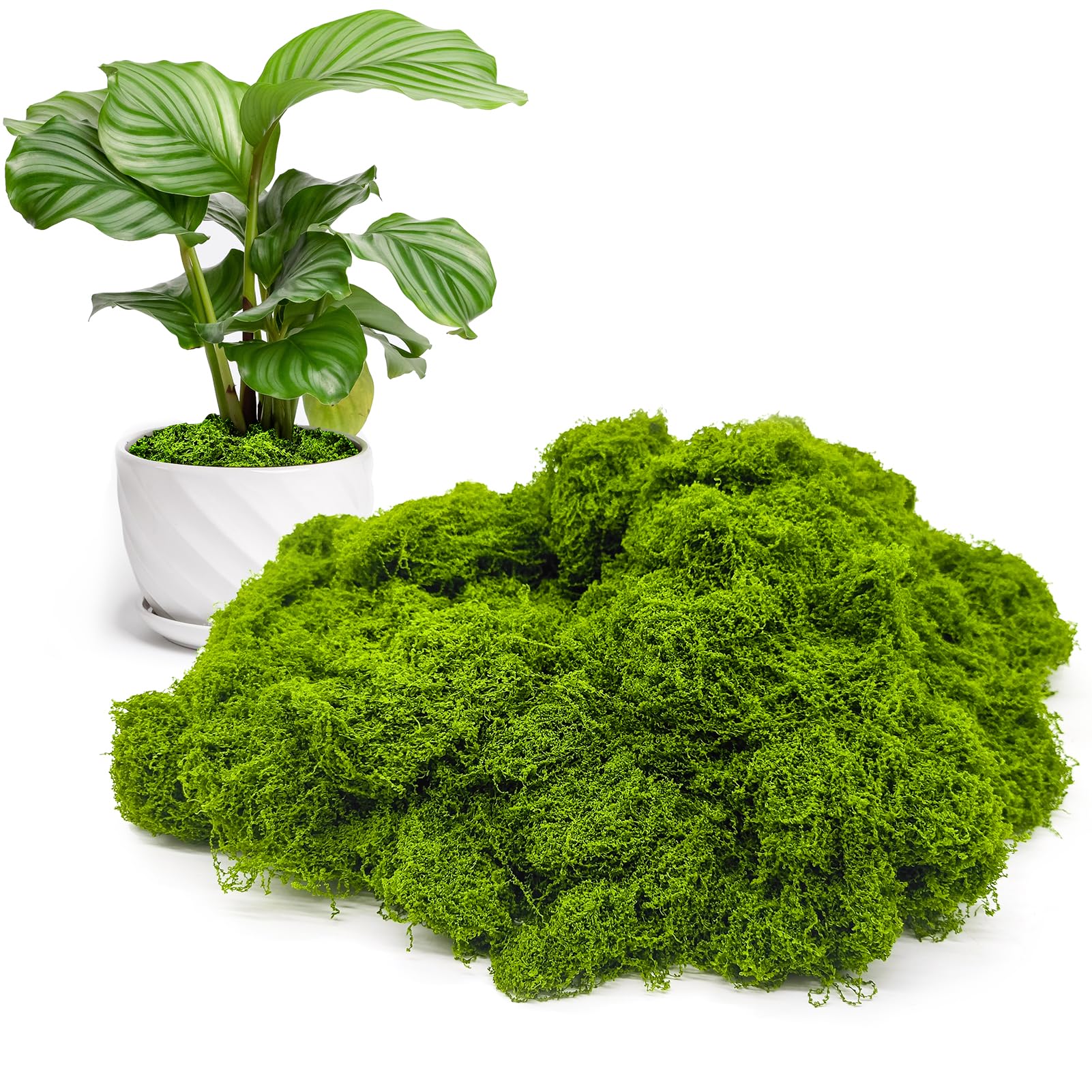 Amazon.com: Aspamms Fake Green Moss for Potted Plants Indoor, 5.3