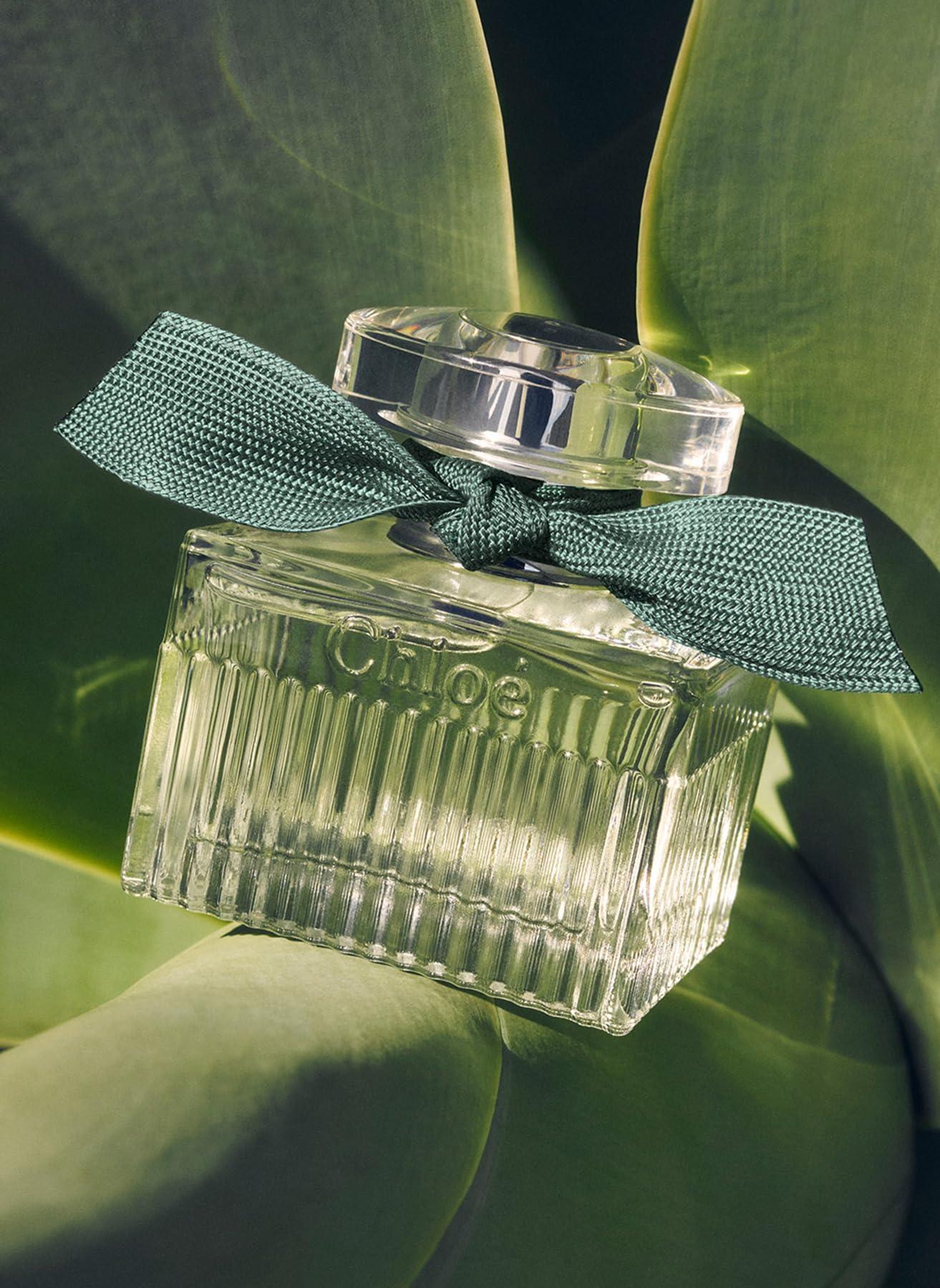 Amazon | クロエ ローズナチュレル インテンス オードパルファム 100mL