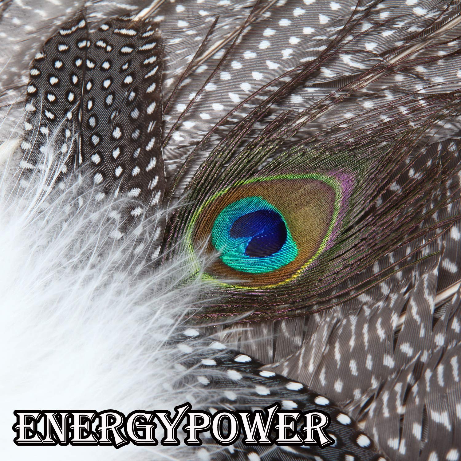 Amazon.co.jp: EnergyPower 三国志 諸葛孔明 高級羽扇子 中国武将の